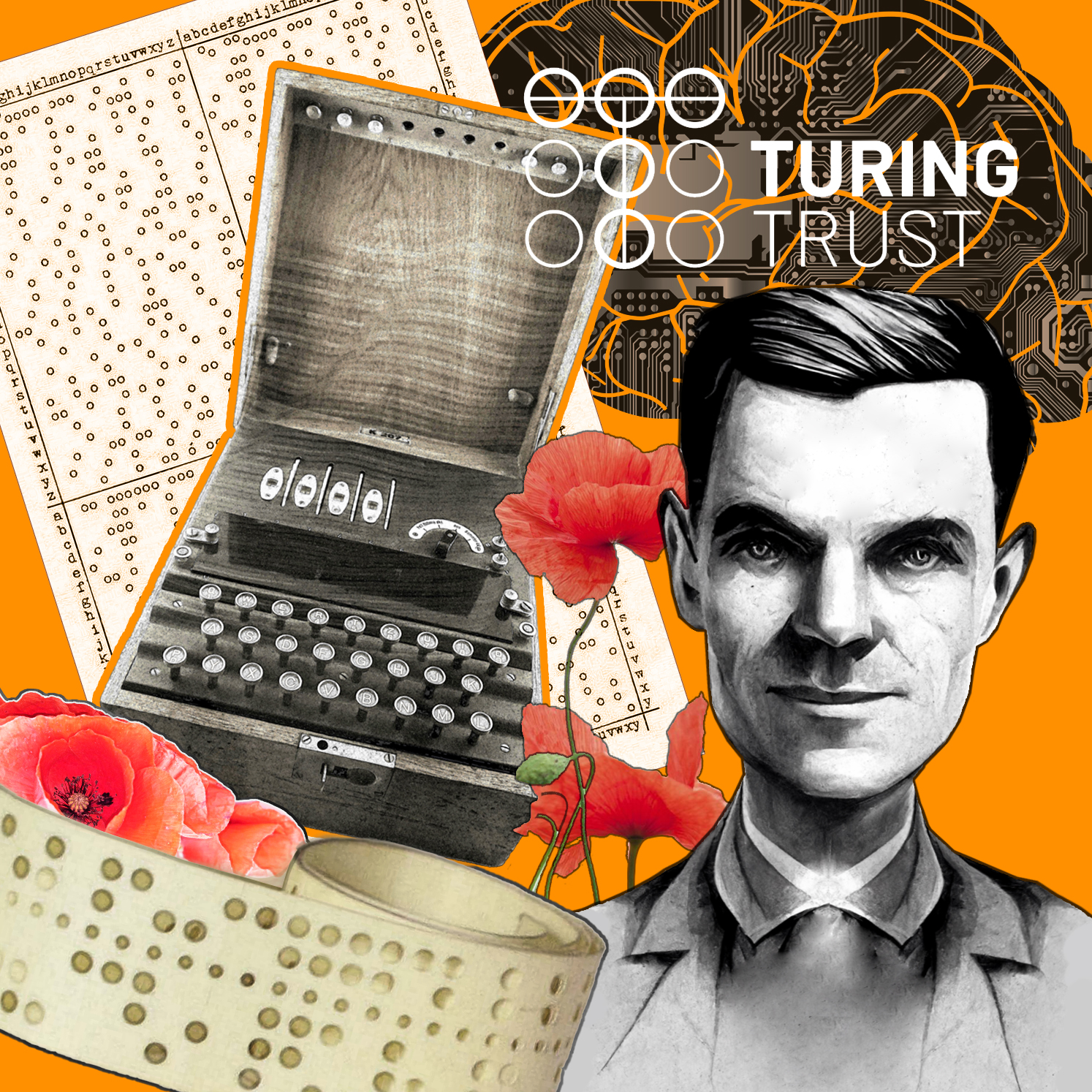 Turing NFT Bronze